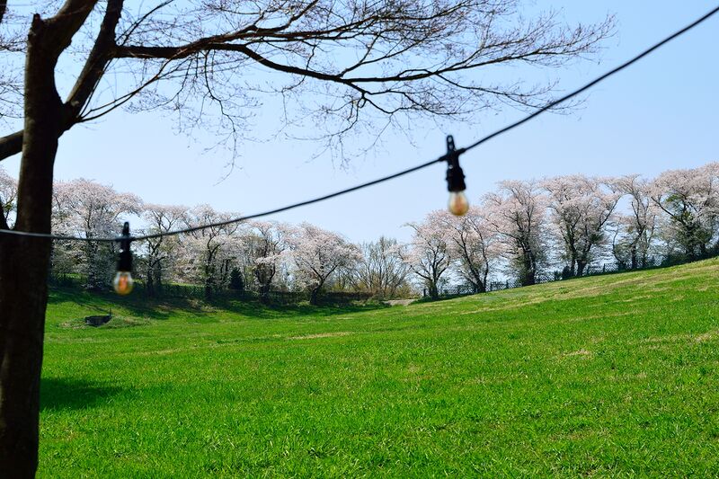 파일:donkey w01 004.jpg