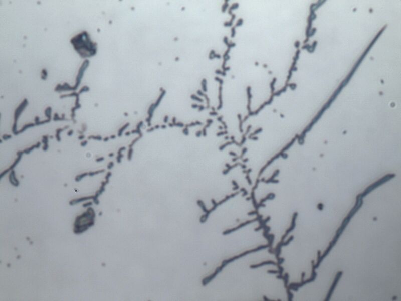 파일:water spot02 150.jpg