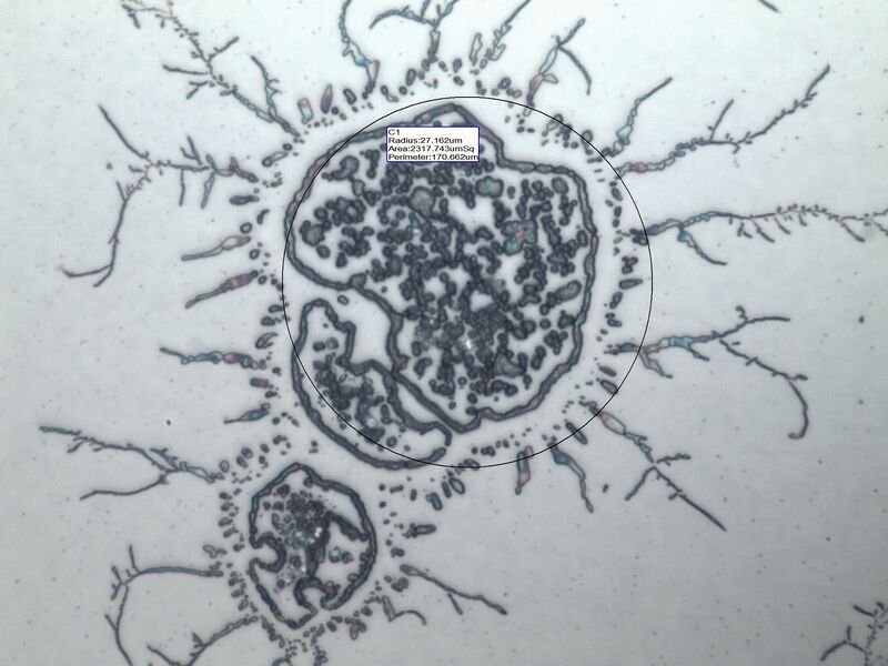 파일:water spot03 002.jpg