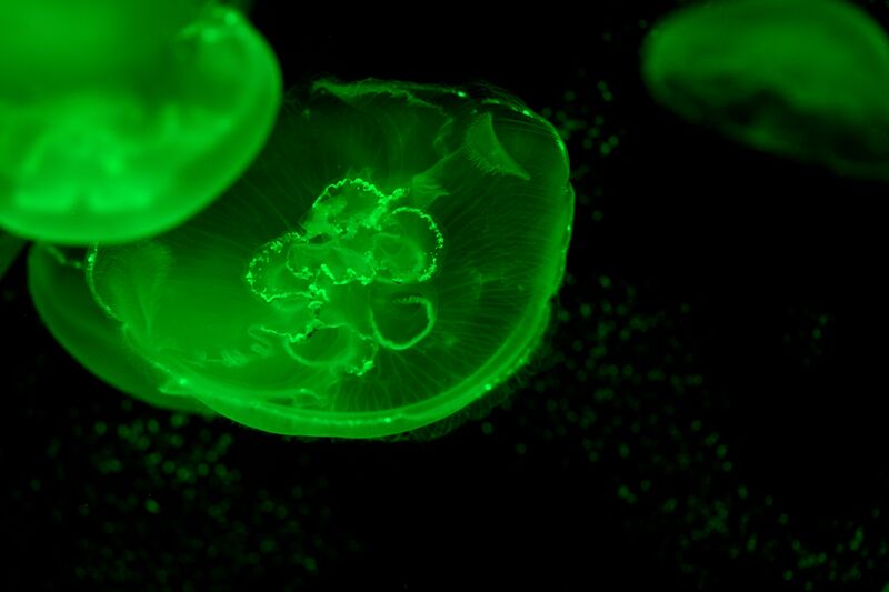 파일:220929 111506.jpg