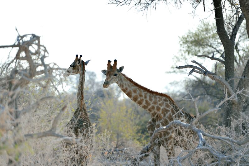 파일:240910 162832.jpg