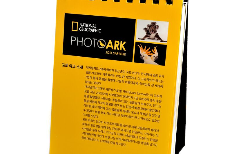 파일:calendar01 002.jpg