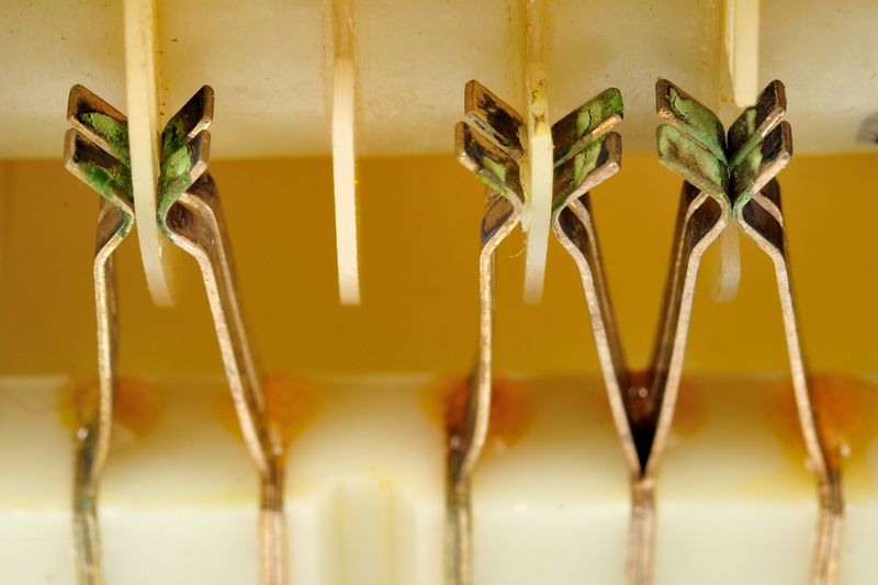 파일:rotary06 001.jpg