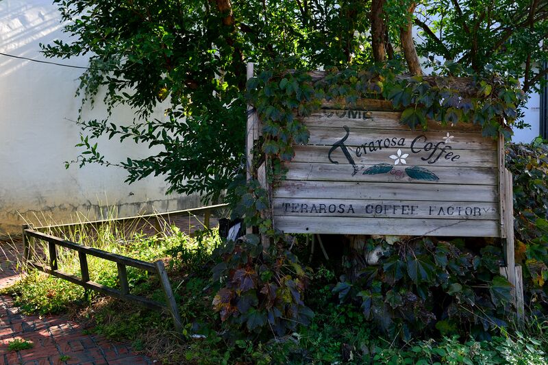 파일:terarosa24 003.jpg