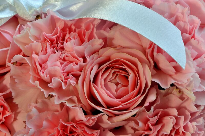 파일:flower03 002 004.jpg