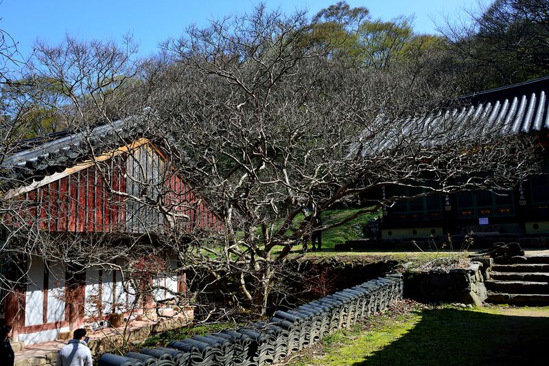 파일:gaesimsa26 017.jpg