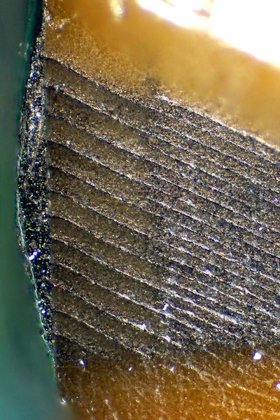 파일:mlcc01 003.jpg