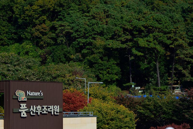 파일:le detour01 004.jpg