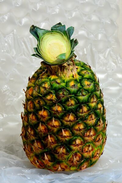 파일:fruit fineapple01 004.jpg