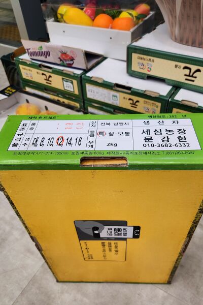 파일:fruit peach05 002.jpg