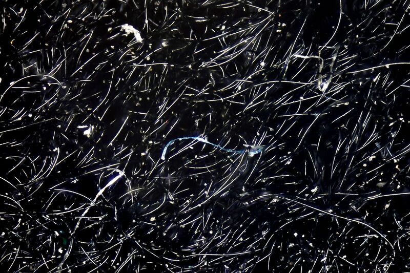 파일:velcro01 004.jpg