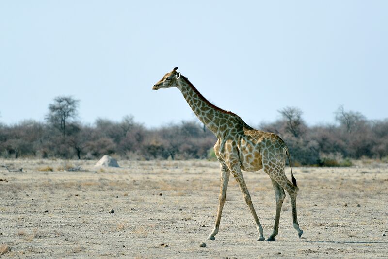 파일:240910 095434.jpg