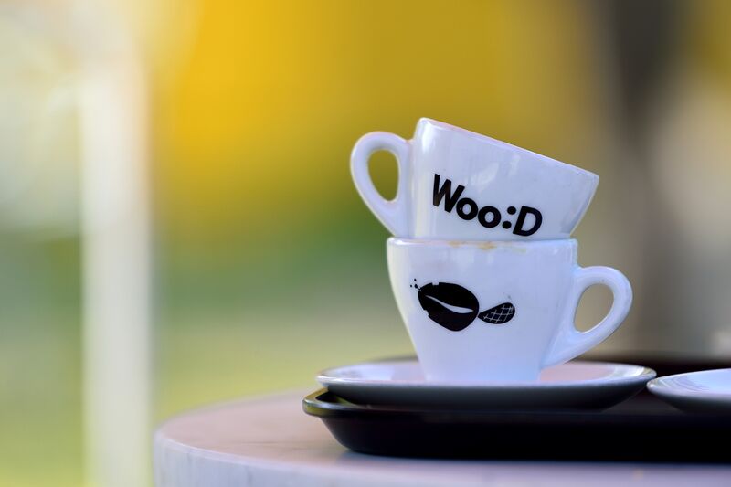 파일:woodie01 007.jpg