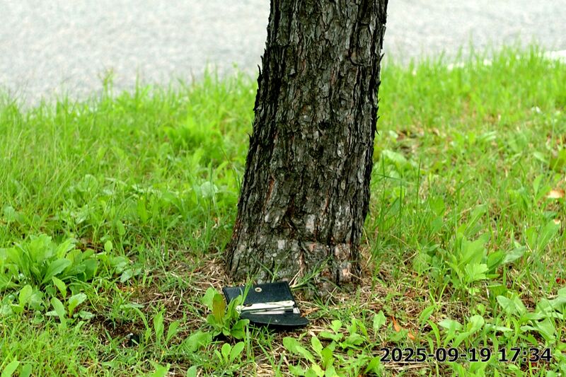 파일:building06 008 001.jpg