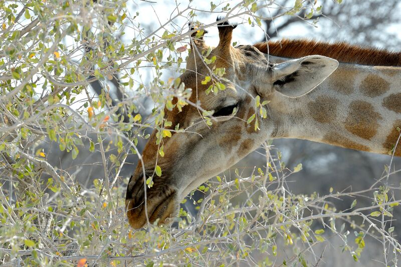 파일:240910 160748.jpg