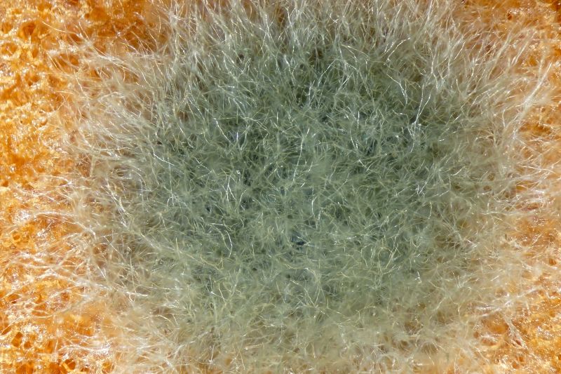 파일:bread02 013.jpg