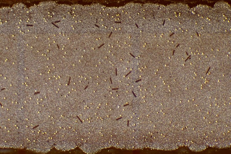 파일:lcd04 021.jpg