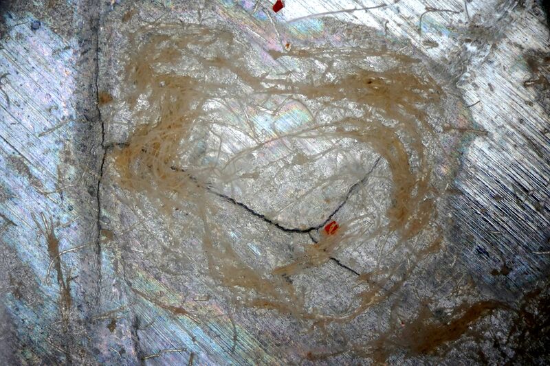 파일:canon430ex01 005 006.jpg