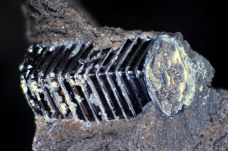 파일:hv diode03 004.jpg