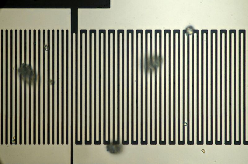 파일:saw dpx9575 01 010.jpg