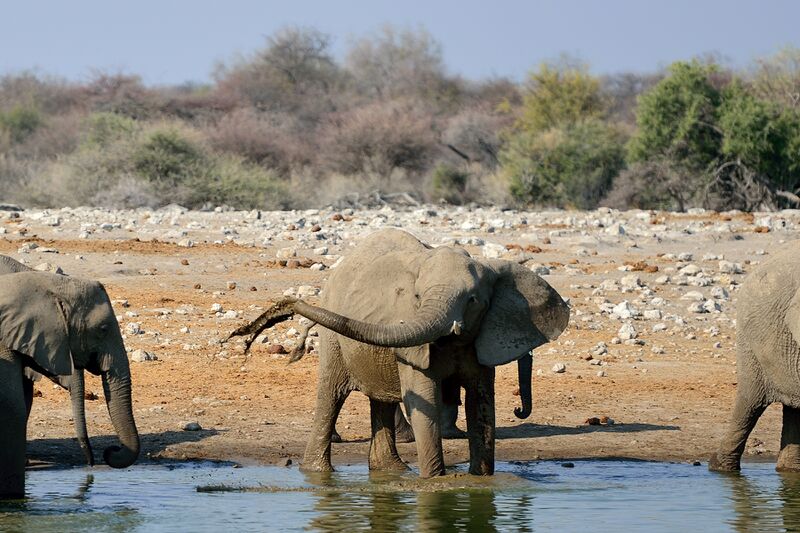 파일:240910 161918.jpg