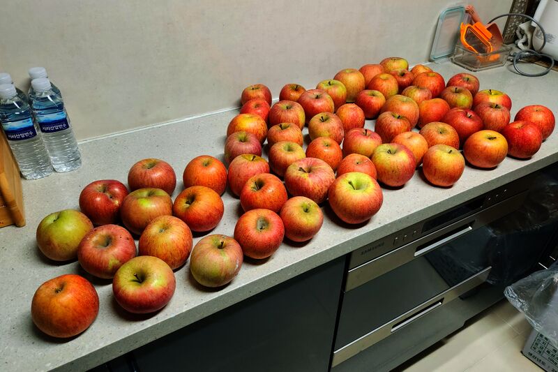 파일:fruit apple03 002.jpg