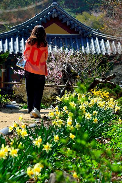 파일:gaesimsa26 020.jpg