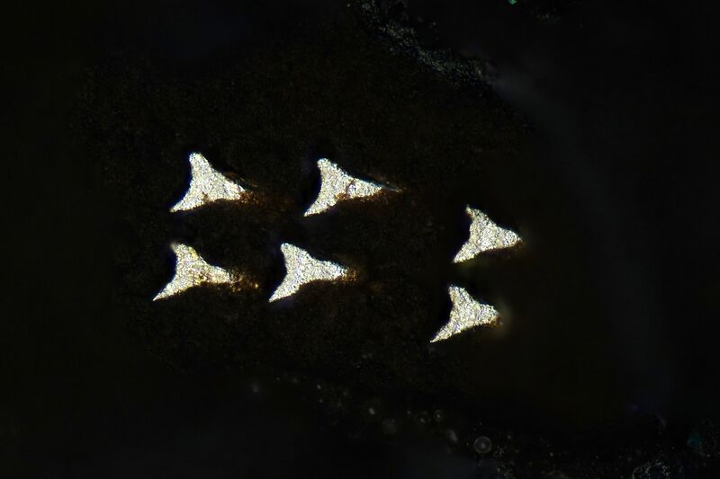 파일:tablet c01 004 008.jpg