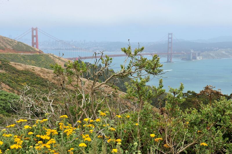 파일:120704 140422.jpg