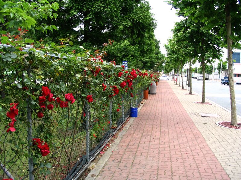 파일:070528 132504.jpg