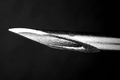 syringe needle01 002.jpg