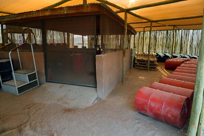 파일:240914 081406.jpg