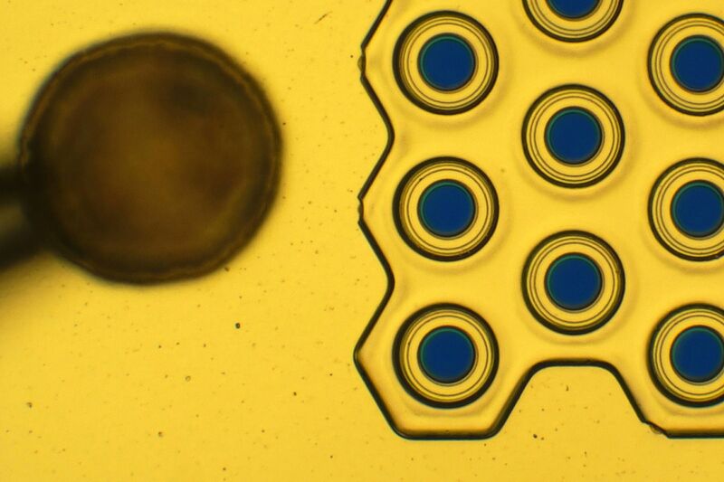 파일:s10 5g01 067.jpg