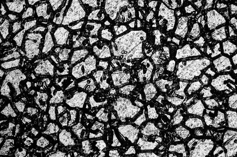 파일:hifi01 114.jpg