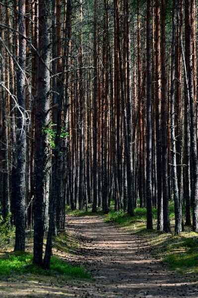 파일:230621 150246.jpg