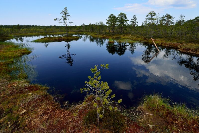 파일:230621 151052.jpg