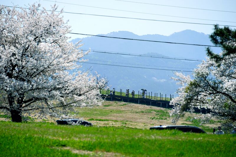 파일:donkey w01 003.jpg