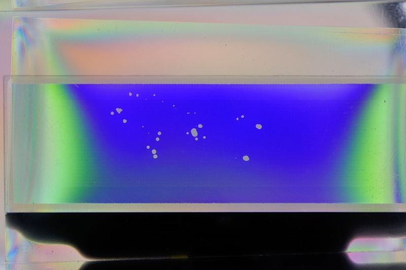 파일:lcd04 019.jpg