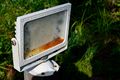 floodlight01 001.jpg