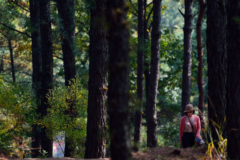 파일:211027 121200.jpg