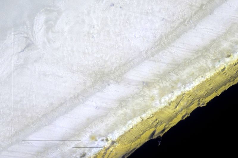 파일:rice cooked01 002.jpg