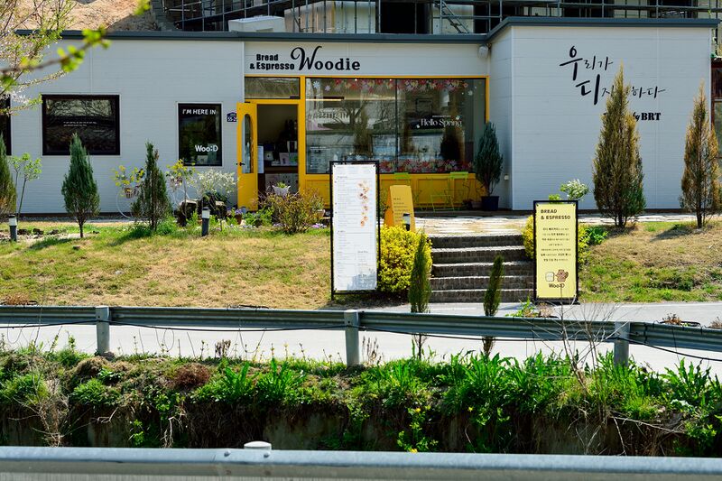 파일:woodie01 001.jpg