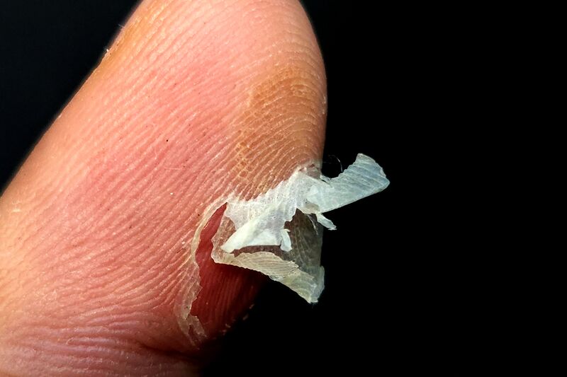 파일:body01 020 002.jpg