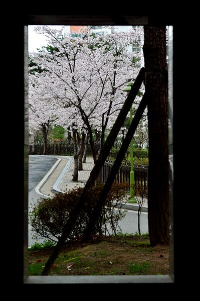 파일:house03 015 001.jpg