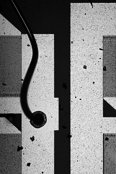 파일:saw if 220 01 003.jpg