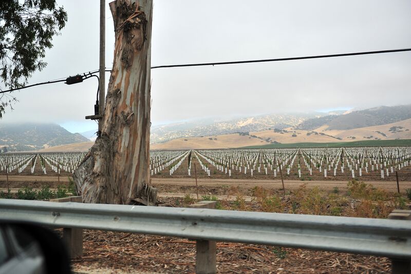 파일:120706 082458.jpg