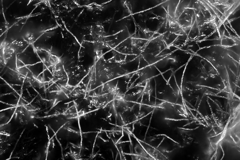 파일:bread02 015.jpg