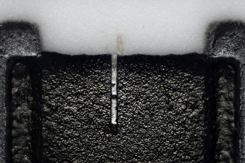 파일:sip koa01 003.jpg