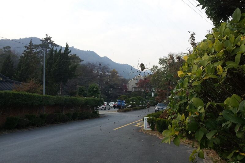 파일:111029 164118.jpg