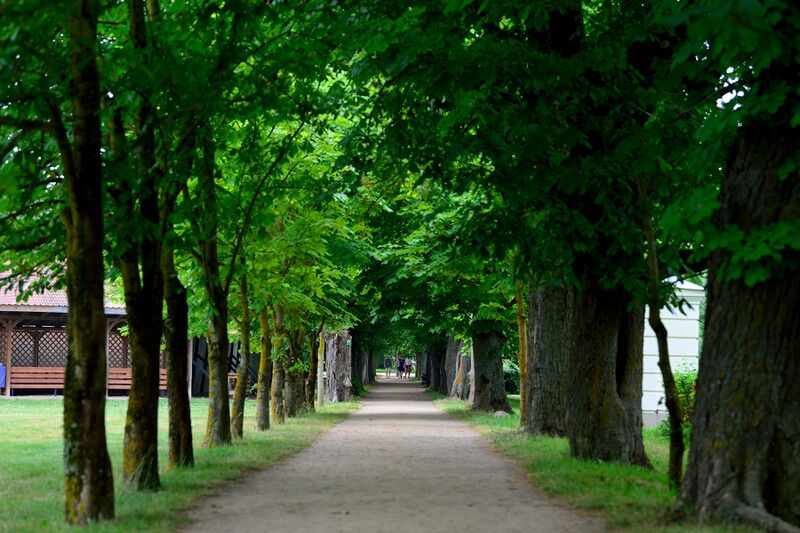 파일:230618 171550.jpg